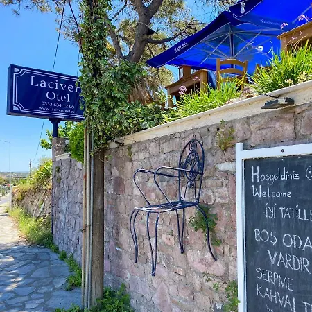 Lacivert 3* Ayvalı