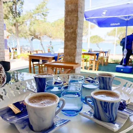 Lacivert Otel Sefacamlik