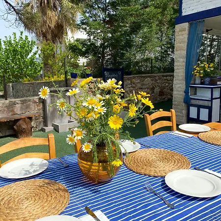 Lacivert 3* Sefacamlik