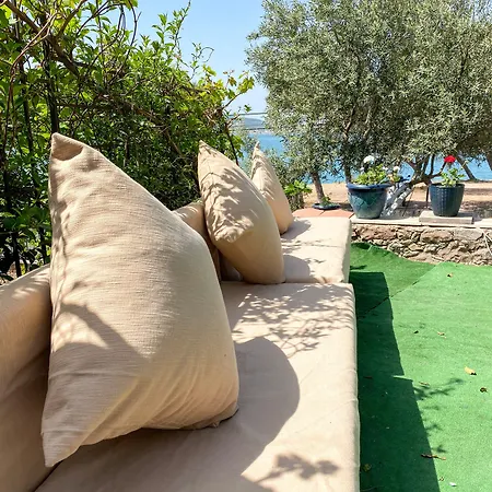 Otel Lacivert Sefacamlik