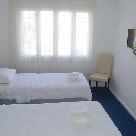 Lacivert 3* Ayvalı