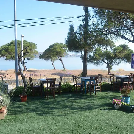 Lacivert 3* Sefacamlik